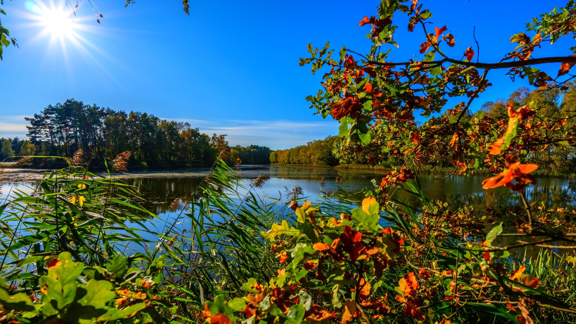 Piękny listopad - zdjęcie 28