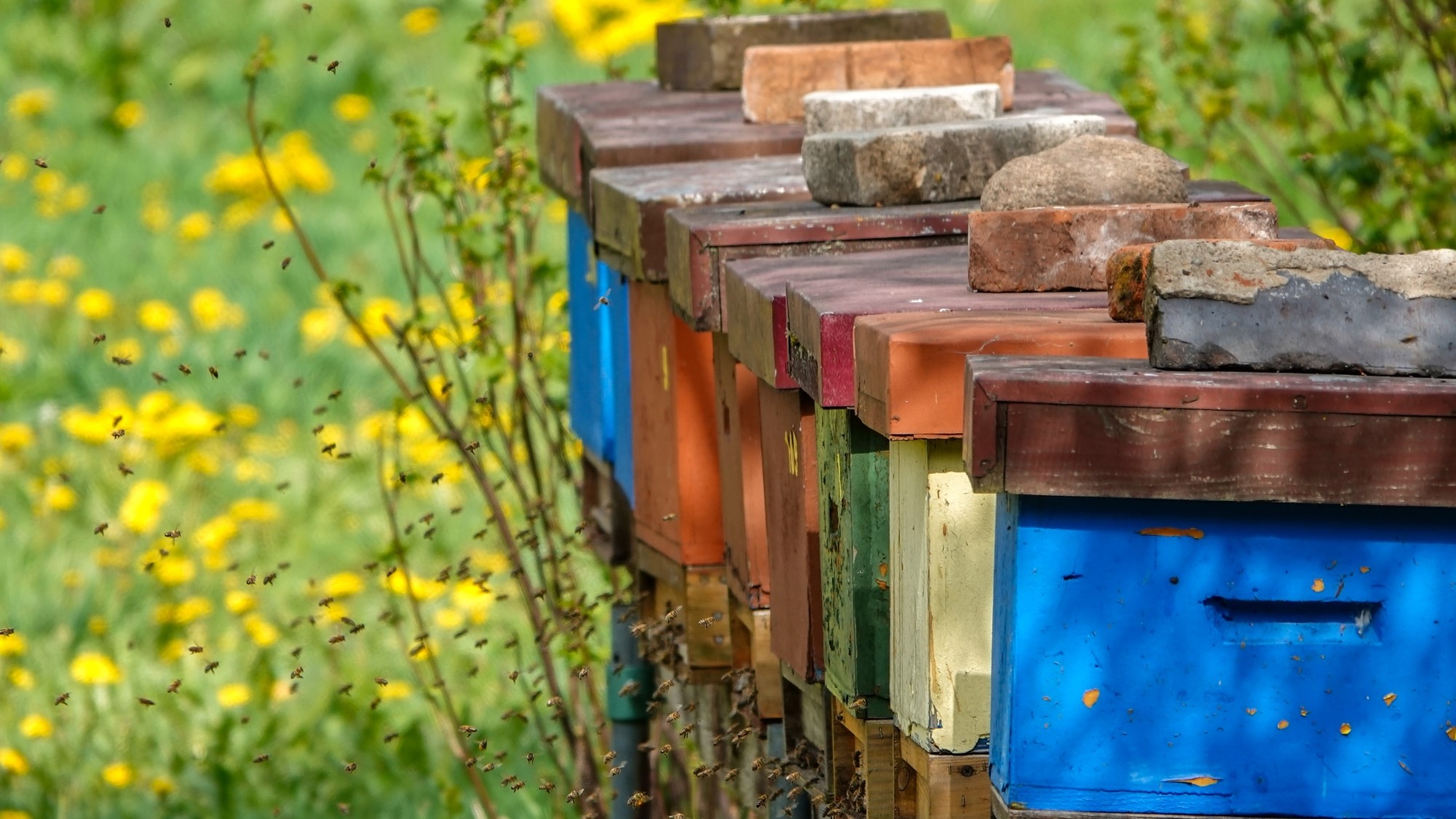 Kwiecień w obiektywie - zdjęcie 20