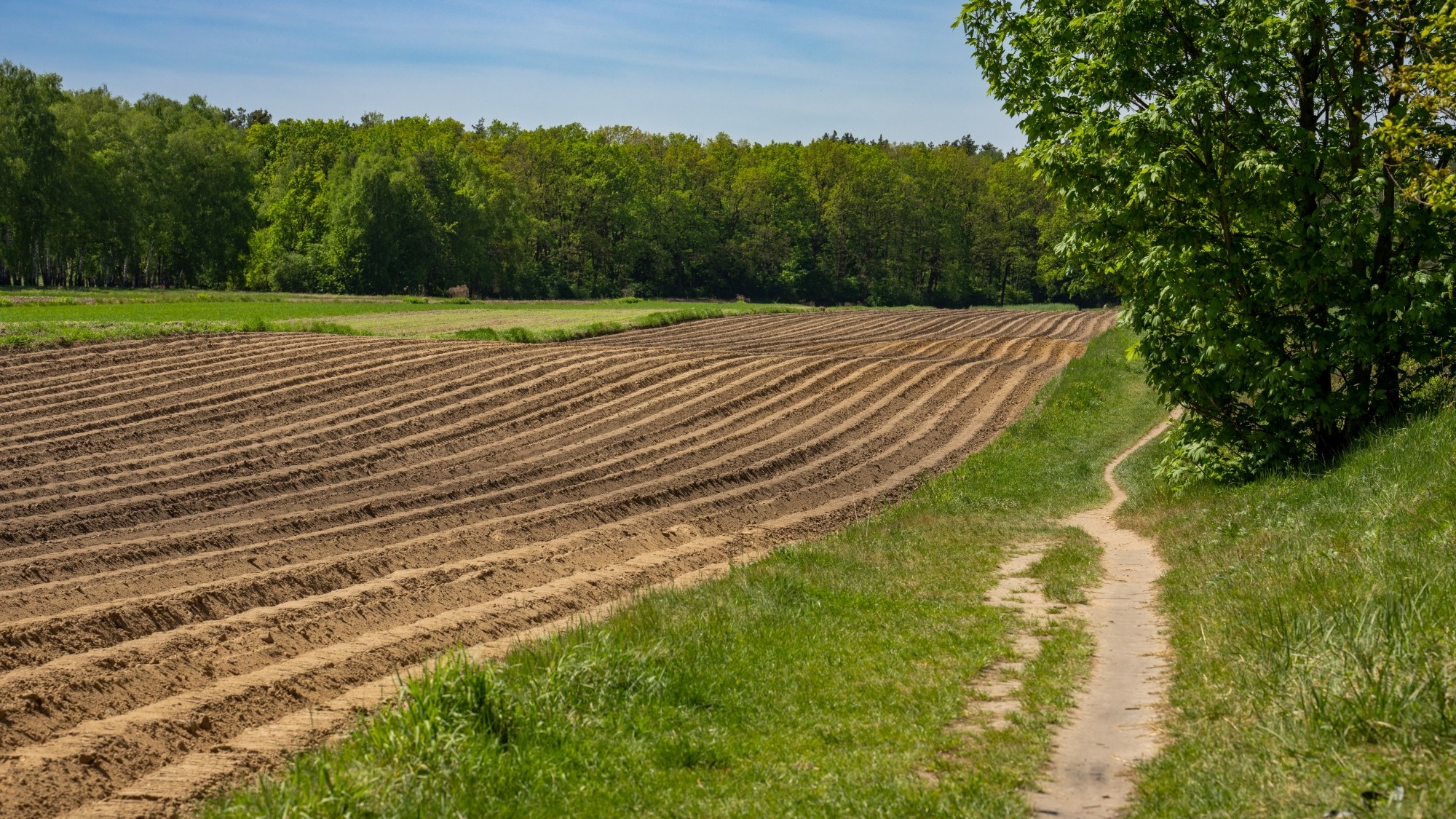 Wiosenna opowieść - zdjęcie 38