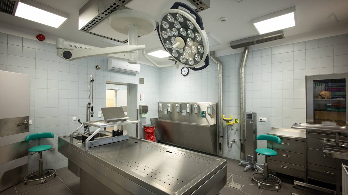 Nowoczesna sala operacyjna weterynaryjna z metalowym stołem operacyjnym, lampą zabiegową, urządzeniami medycznymi i zielonymi stołkami.