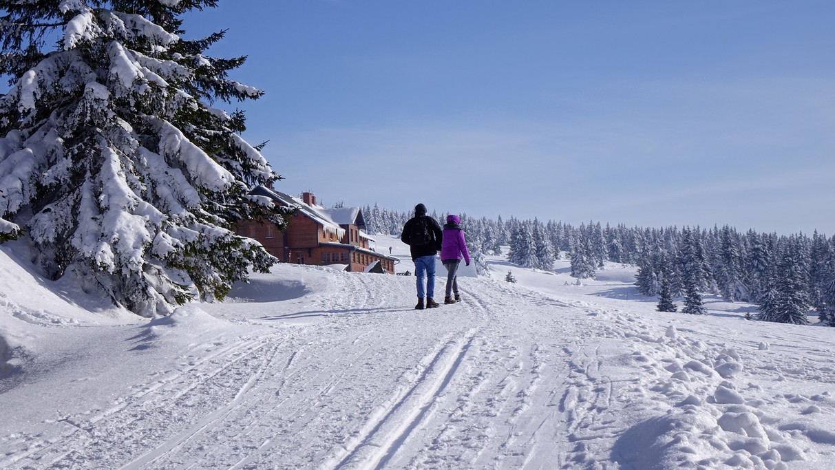 Marzec w obiektywie - zdjęcie 49