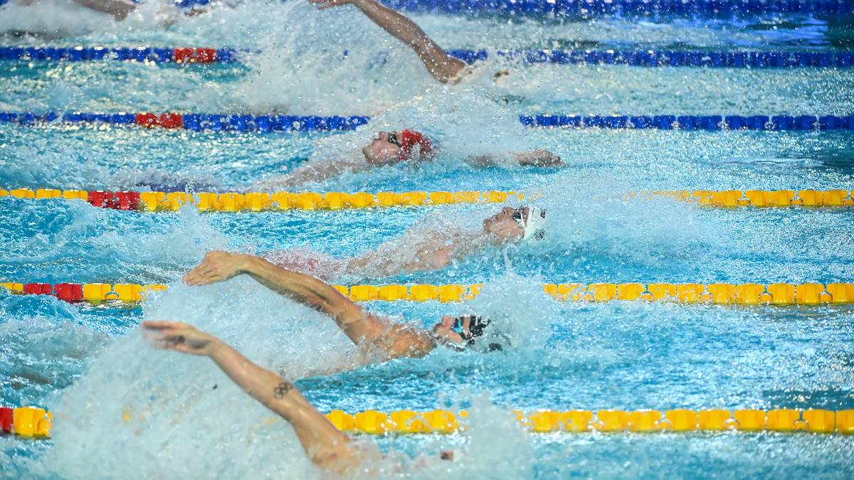 Czterech pływaków podczas wyścigu na basenie, rozpryski wody wokół nich