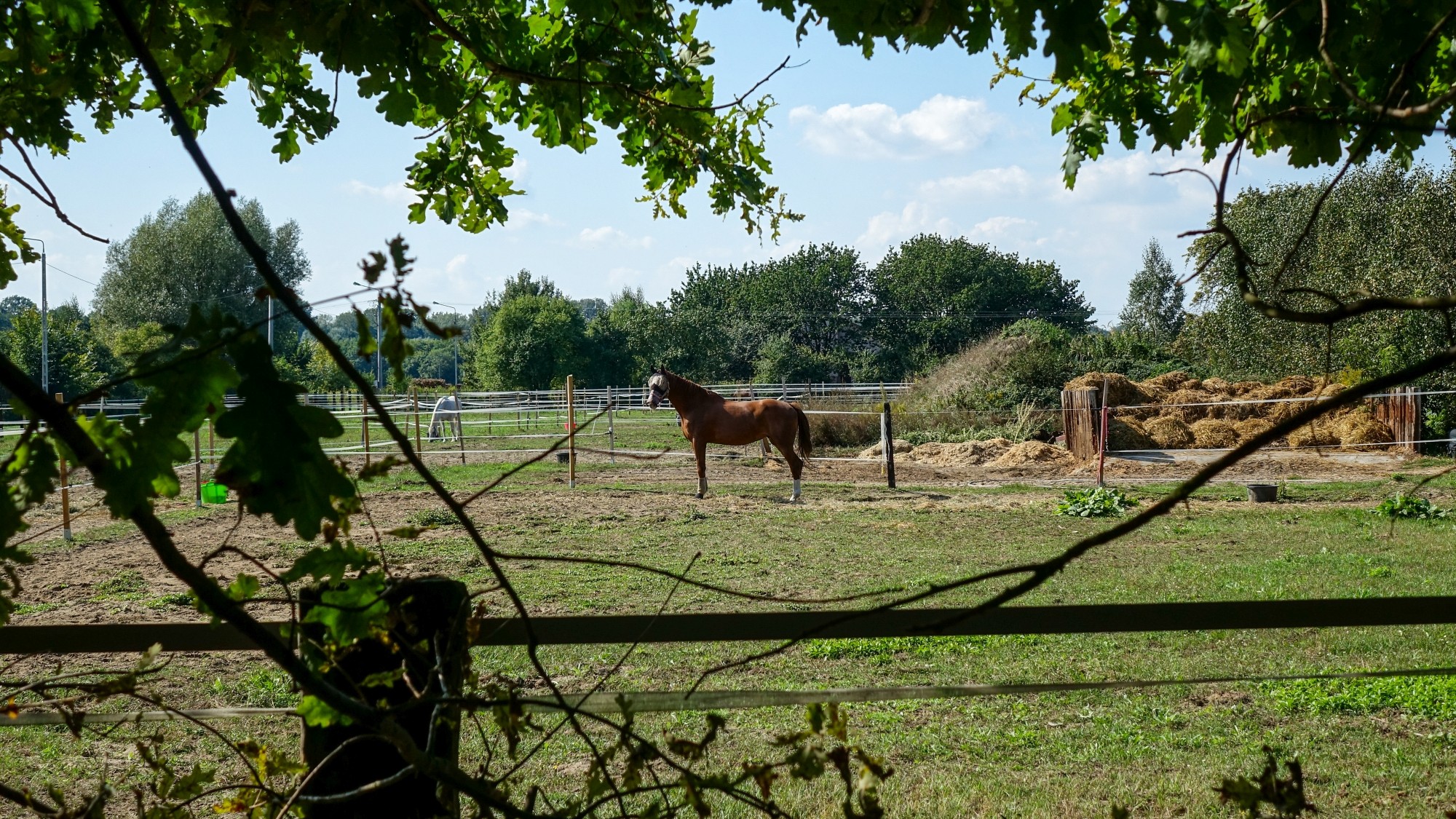 Wrzesień w obiektywie - zdjęcie 45