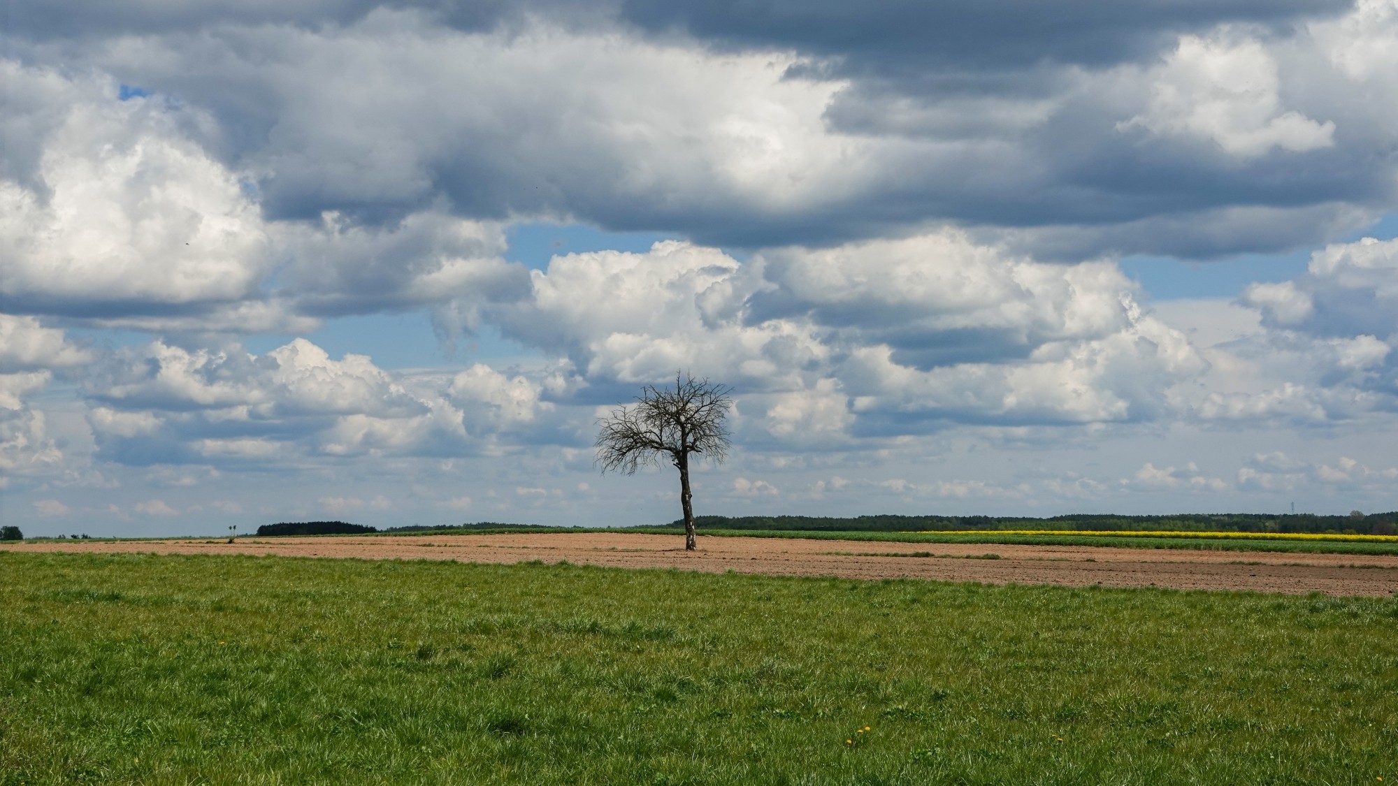 Kwiecień w obiektywie - zdjęcie 66