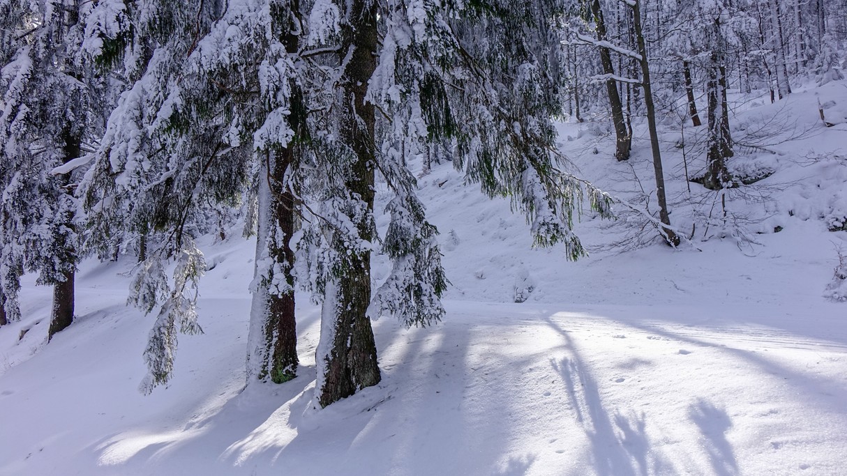 Zima w górach - zdjęcie 30