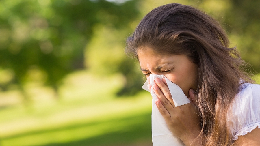 Masz katar lub kichasz? W powietrzu pojawiły się pierwsze alergeny brzozy. Co jeszcze pyli i uczula?