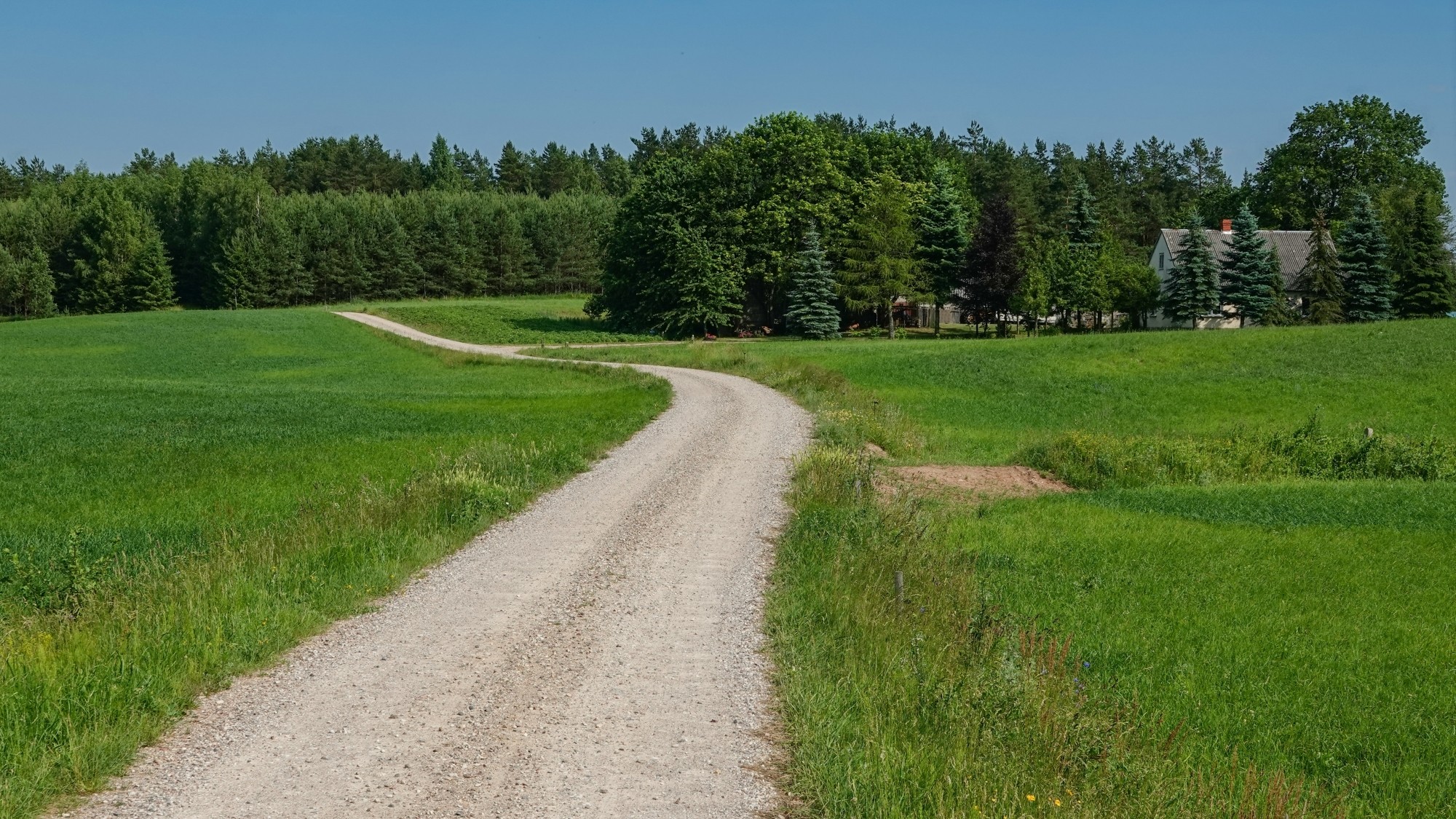 Letnie klimaty na łonie natury - zdjęcie 26
