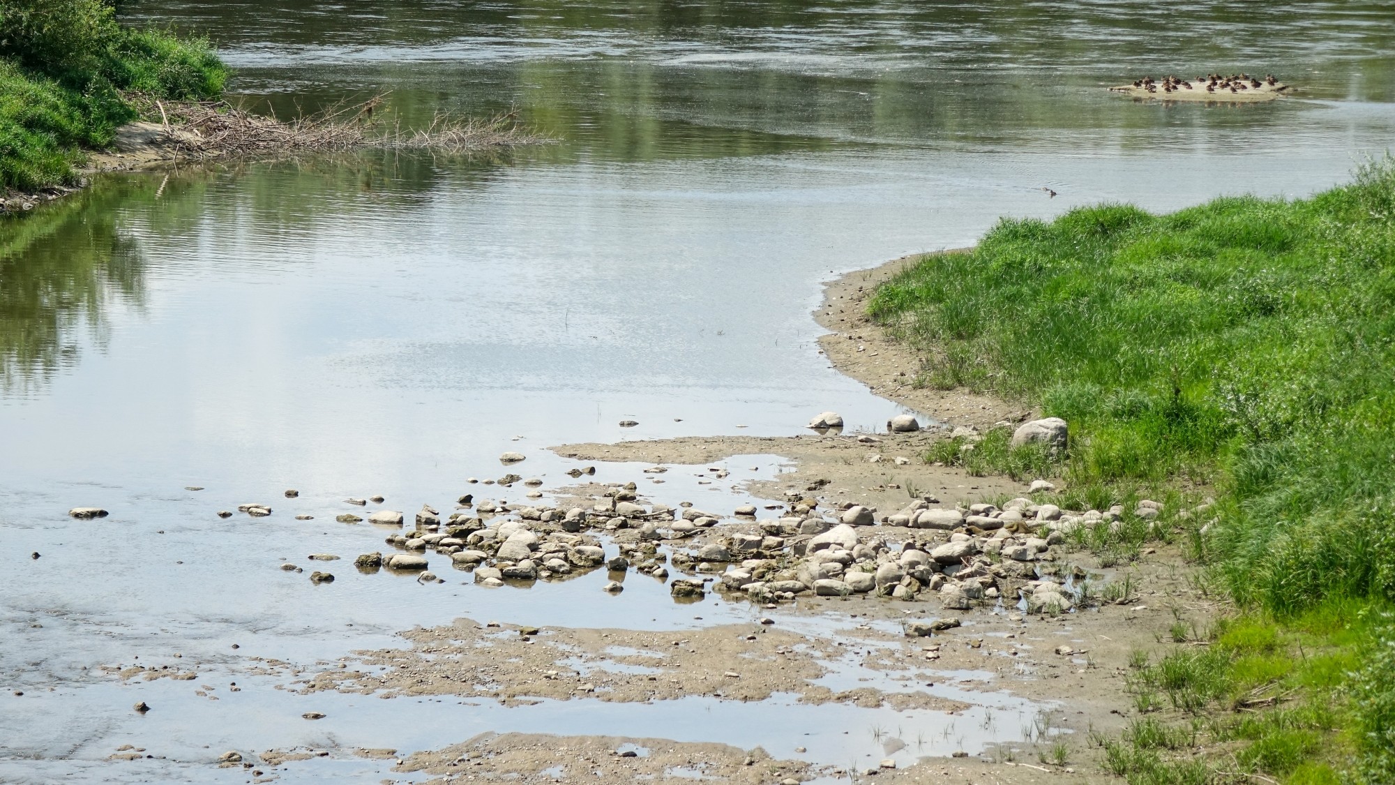 Wysychająca Wisła z lotu ptaka - zdjęcie 15