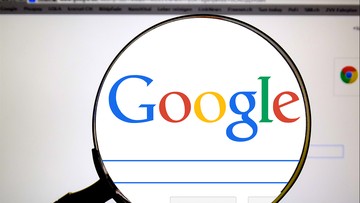Czego Polacy szukali w Google w 2017 r.? Królowały grzyby