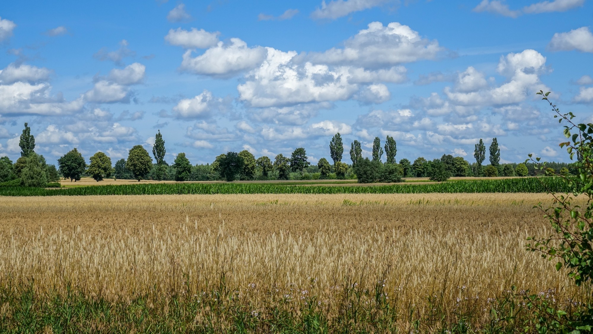 Lipiec w obiektywie - zdjęcie 38