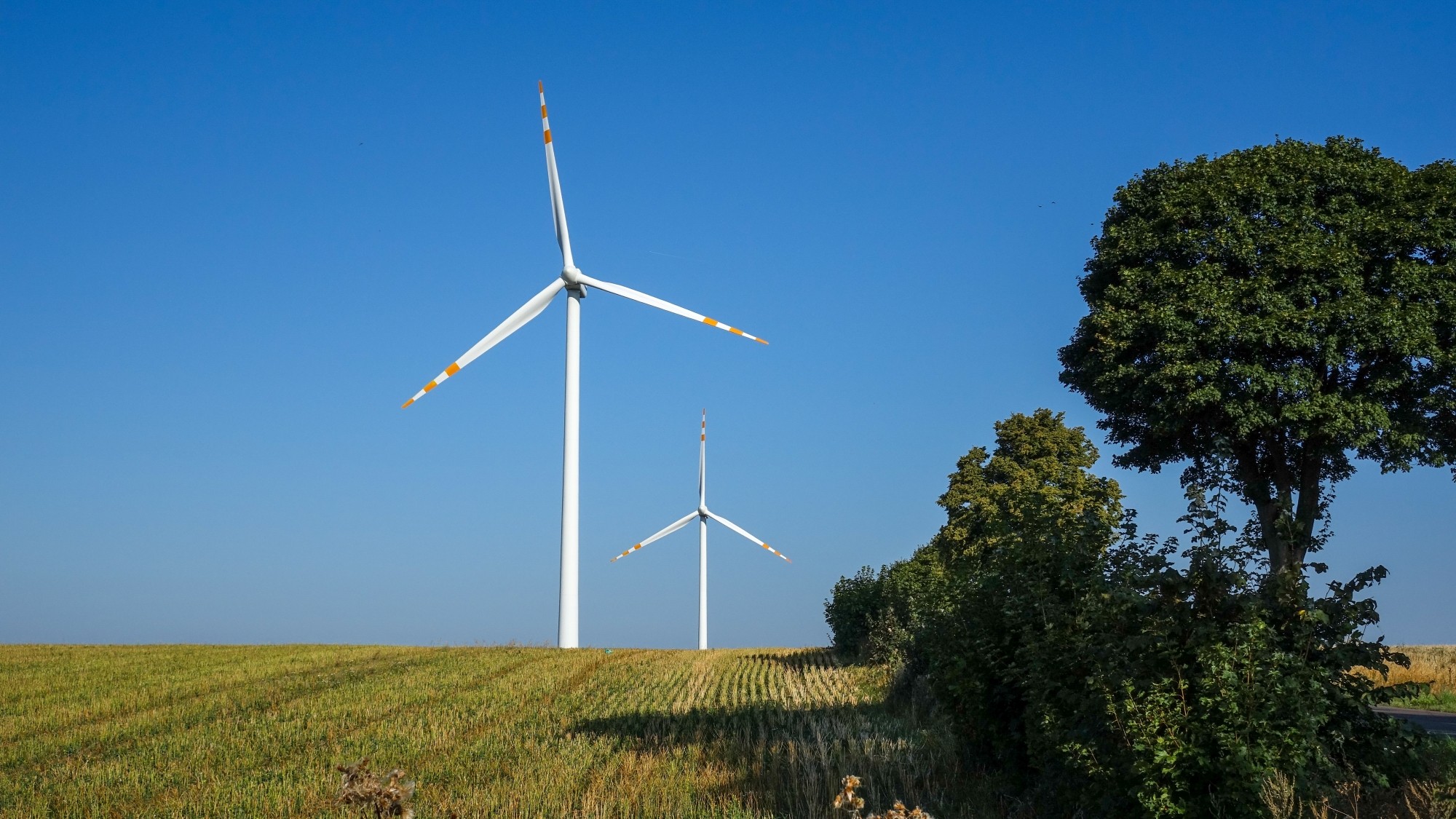 Sierpień w obiektywie - zdjęcie 12