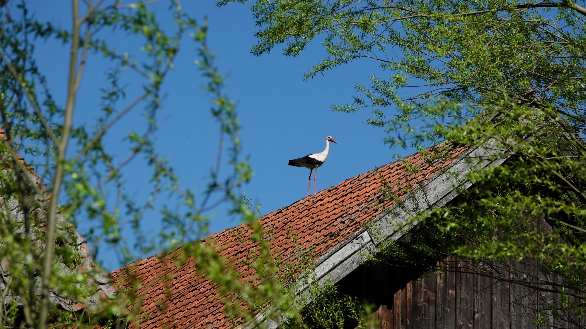 Od morza po góry - zdjęcie 22
