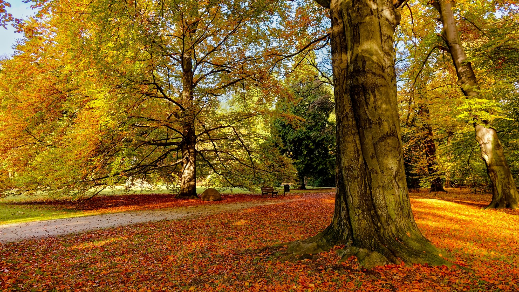 Kraina jesieni - zdjęcie 15