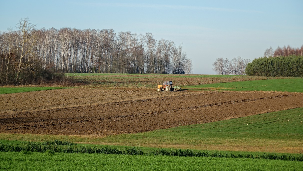 Listopad w obiektywie - zdjęcie 21