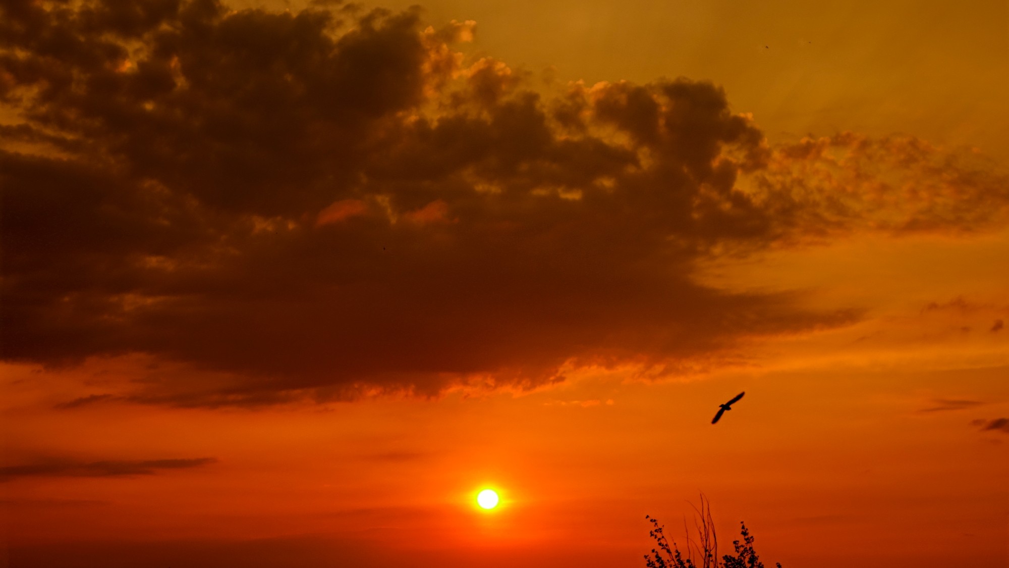 Wakacje minionych lat - zdjęcie 18