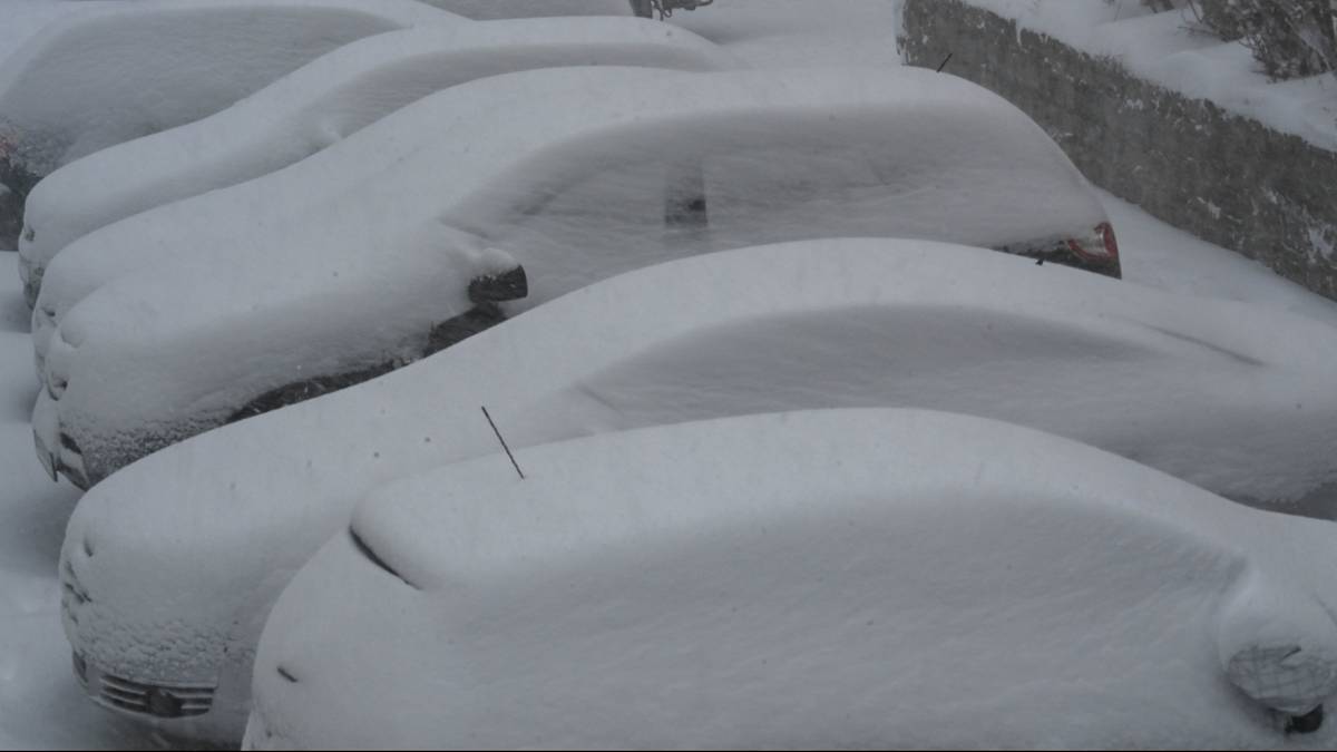 Rząd zaparkowanych samochodów pokrytych grubą warstwą śniegu.