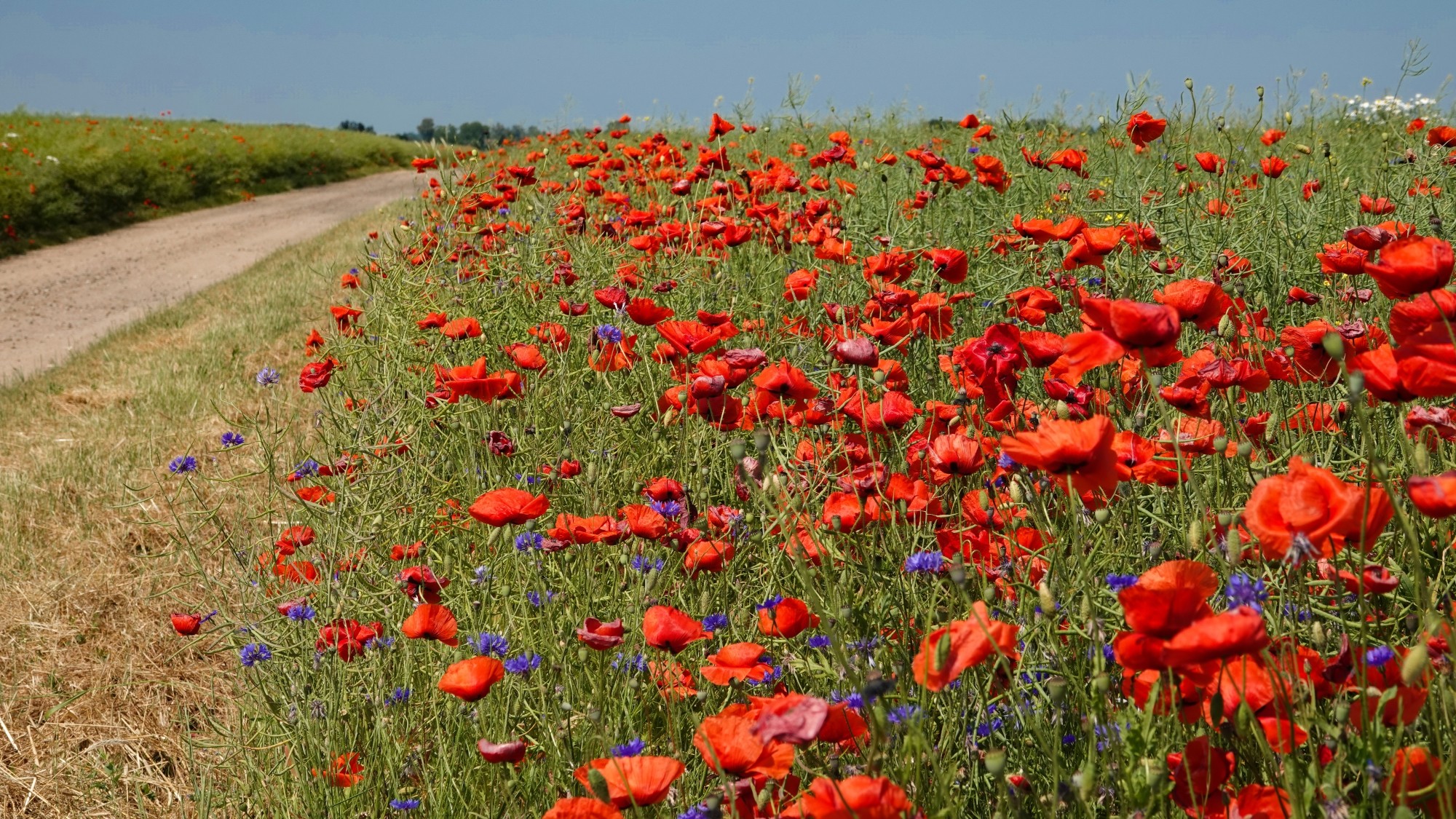 100 najpiękniejszych zdjęć 2021 roku - zdjęcie 76