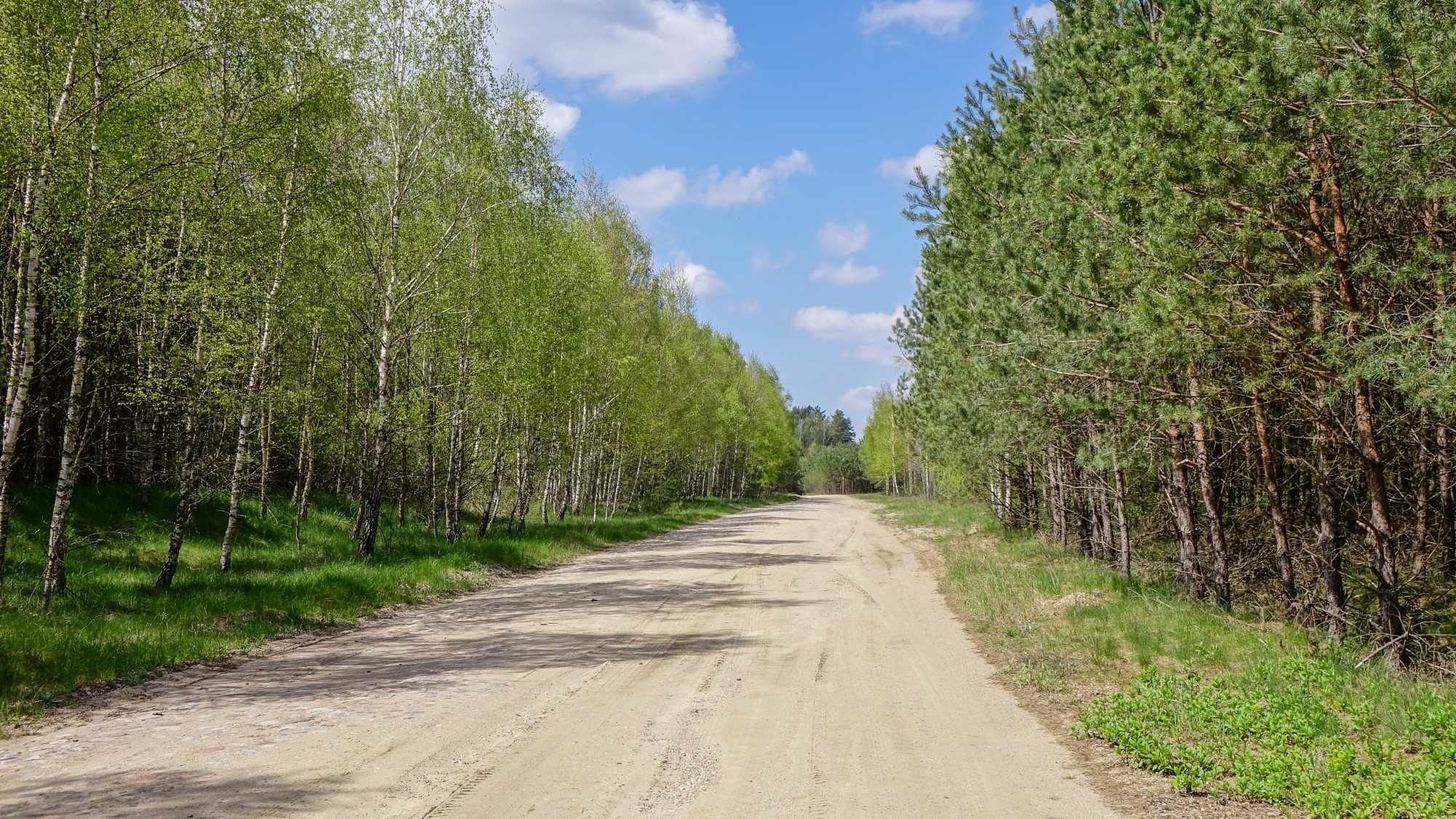 Urocze zakątki w lasach - zdjęcie 36