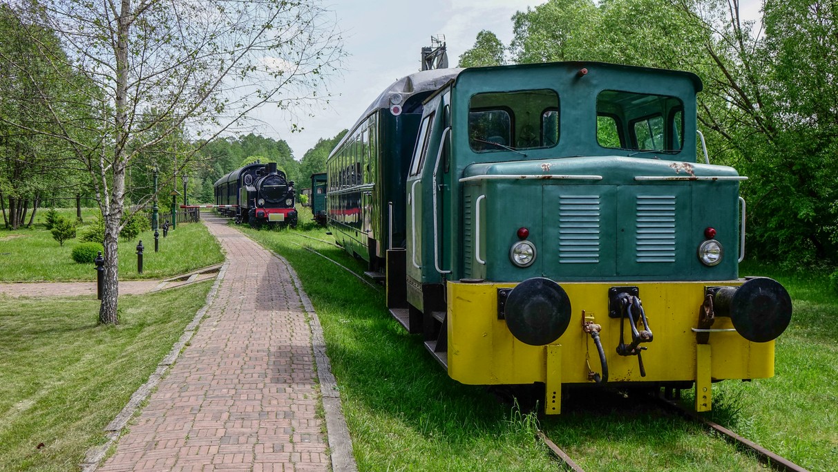 Białowieski Park Narodowy - zdjęcie 7