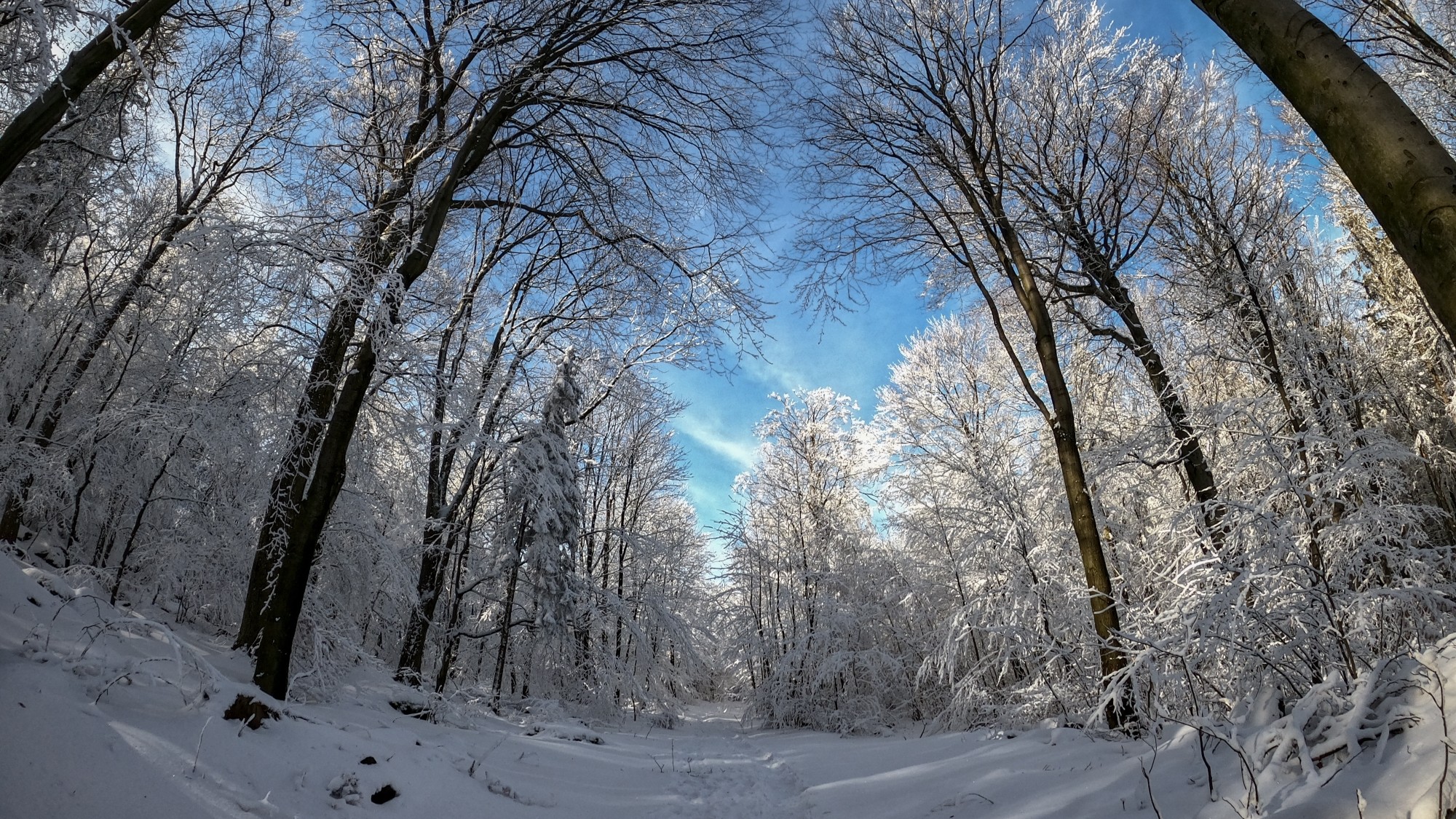 Kraina Narnii - zdjęcie 51