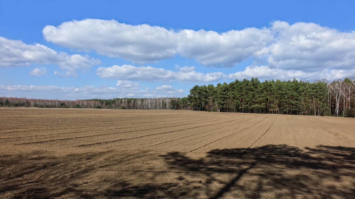 Marzec w obiektywie - zdjęcie 39