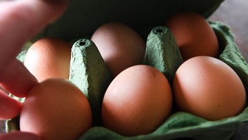 Holandia: Dwie osoby zatrzymane w związku z aferą ze skażonymi jajami