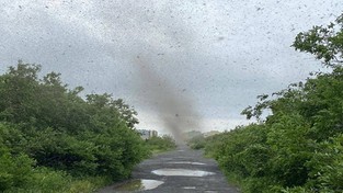 23.07.2021 05:54 Chmary komarów przypominające tornada, nie pozwalają Rosjanom na normalne życie [WIDEO]