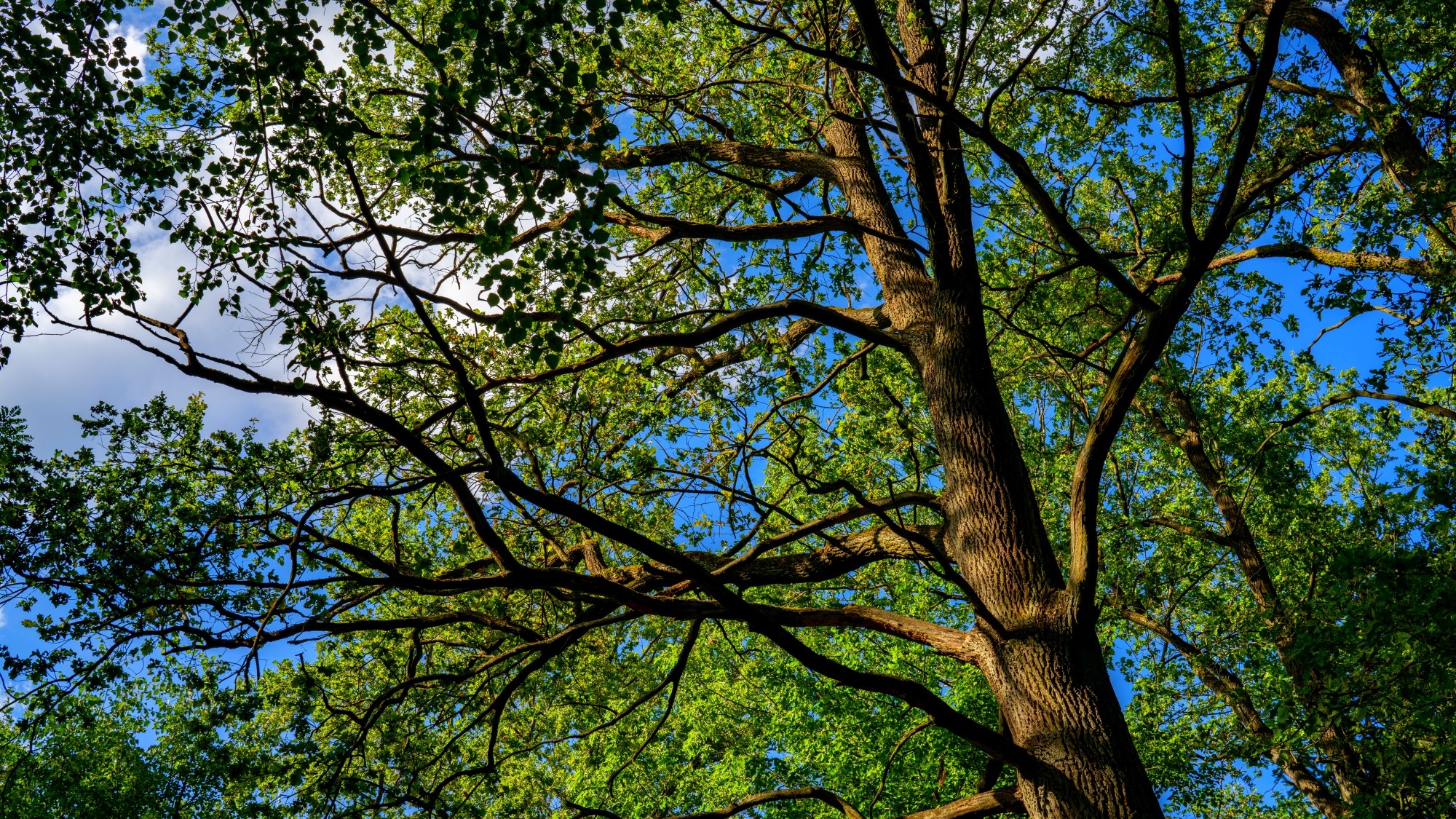 Wśród natury - zdjęcie 44