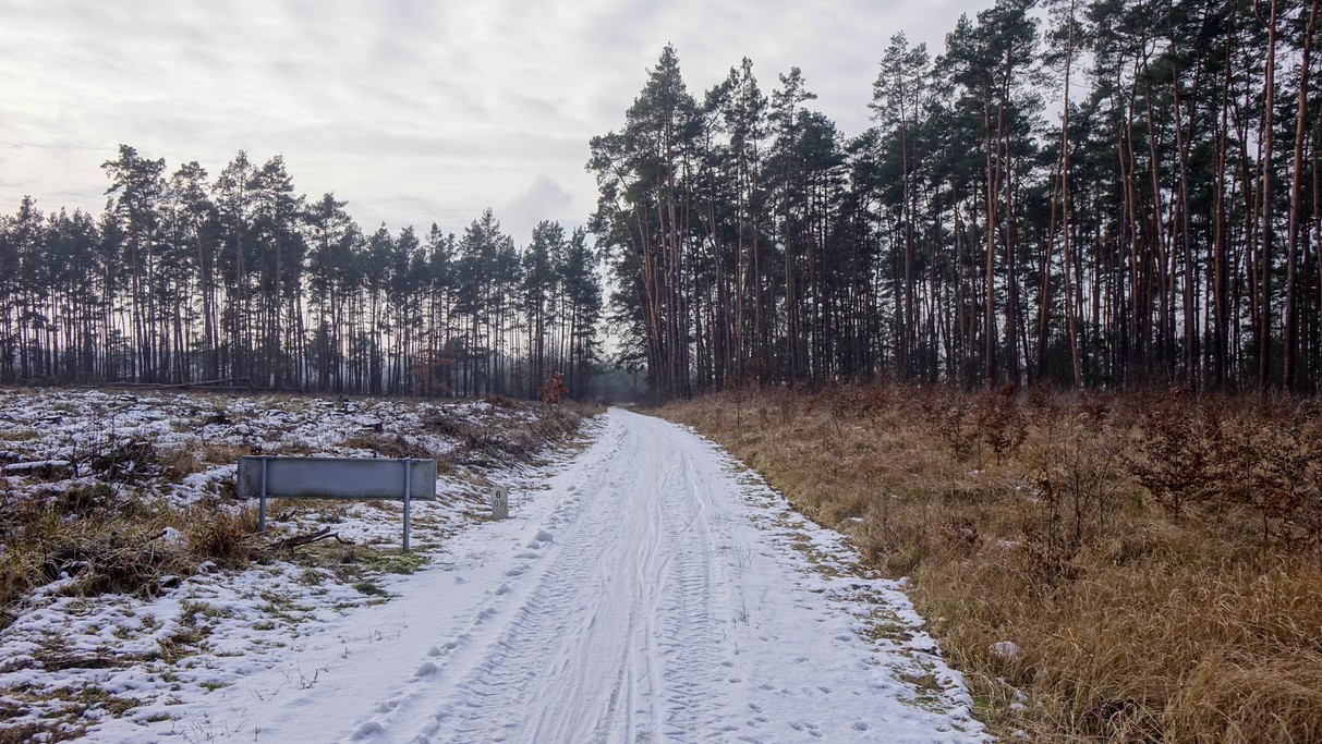 Styczeń w obiektywie - zdjęcie 19
