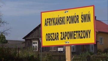 Unijny komisarz chwali Polskę za walkę z ASF
