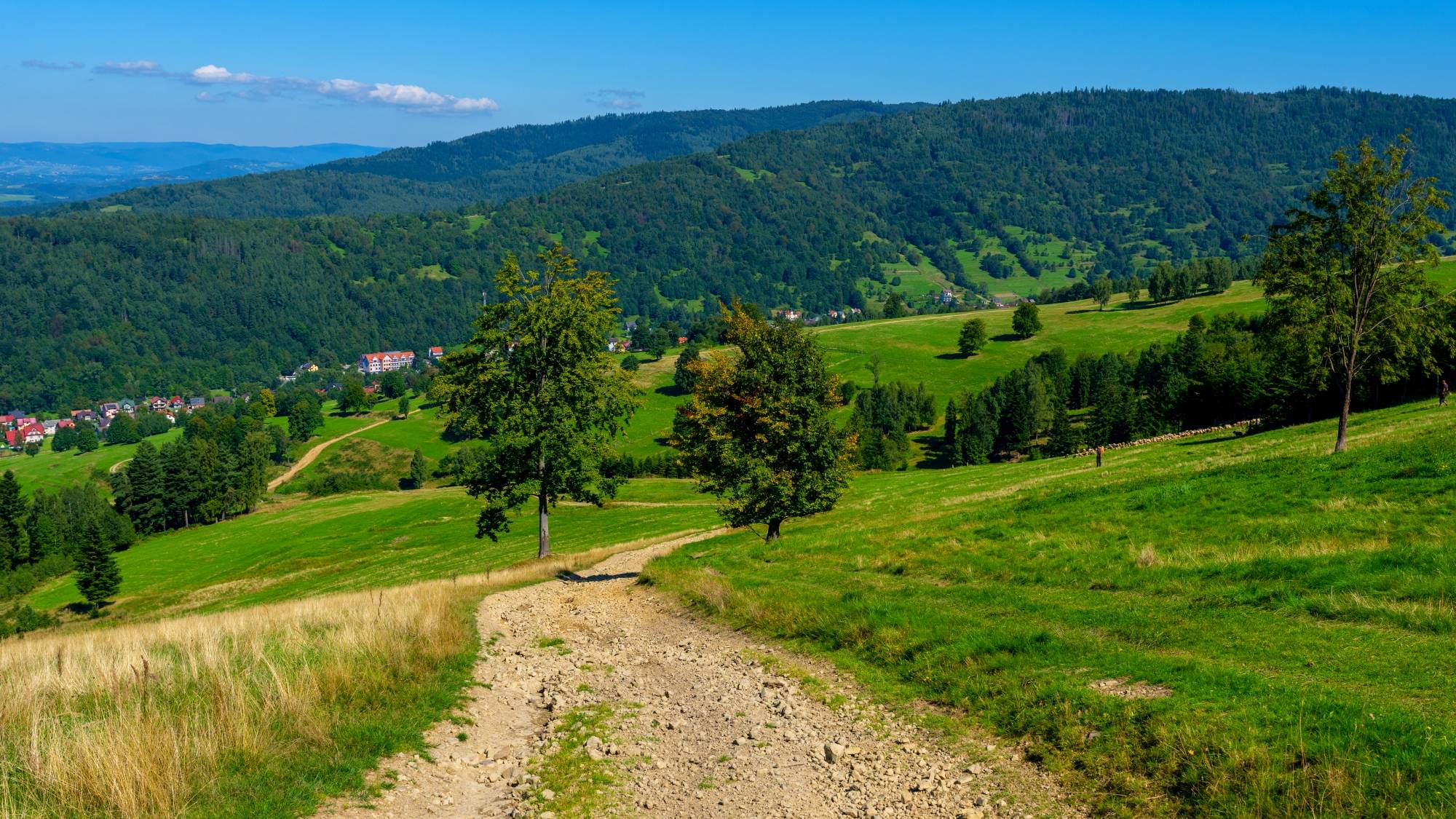 Kolory lata - zdjęcie 17