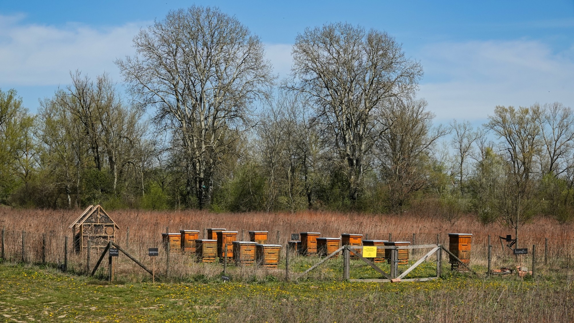 Kwiecień w obiektywie - zdjęcie 54
