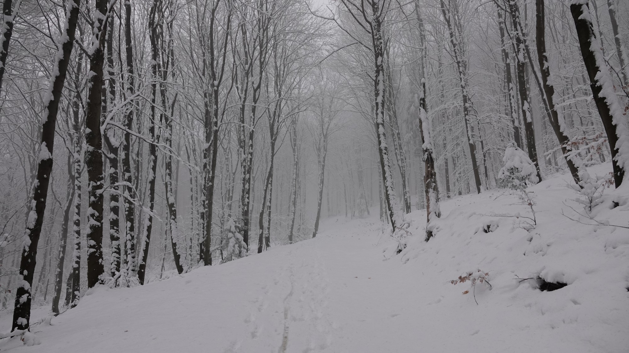 Oblicza zimy - zdjęcie 23