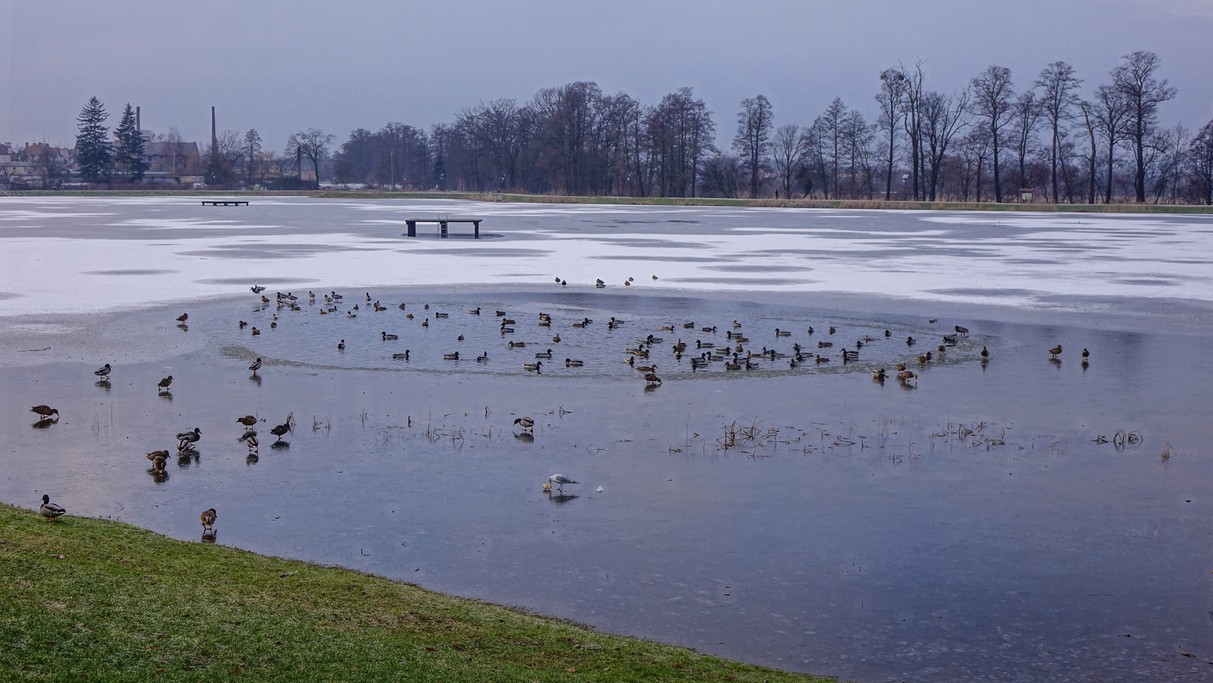 Styczeń w obiektywie - zdjęcie 9
