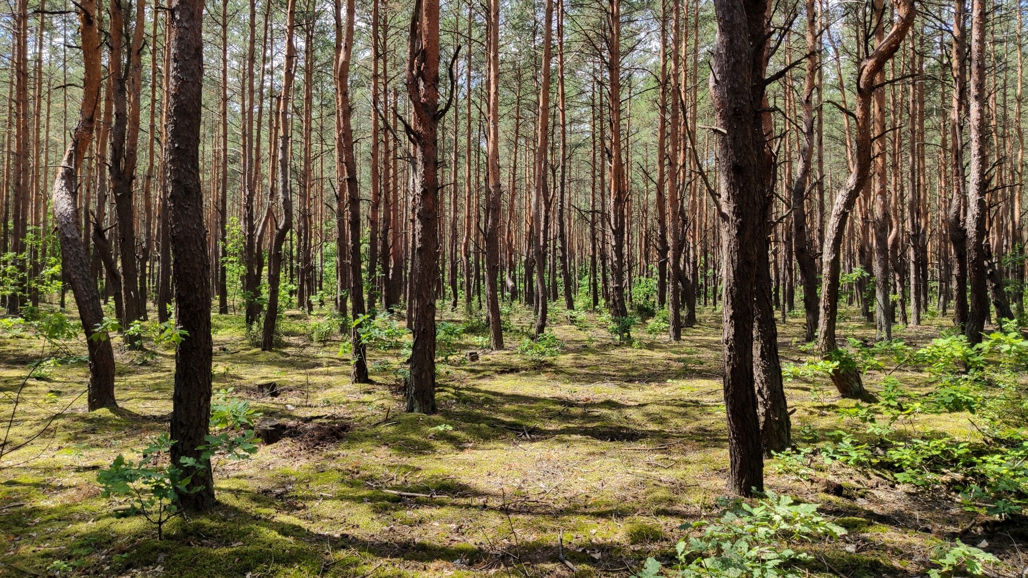 Wakacje minionych lat - zdjęcie 35