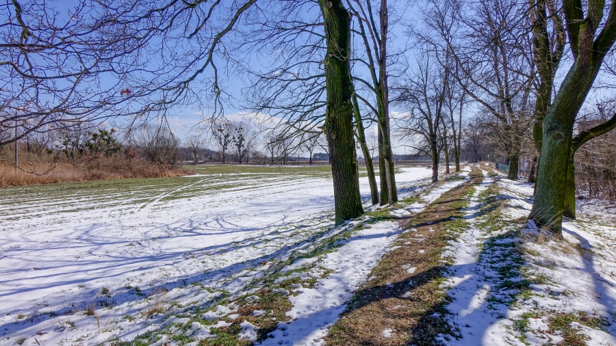 17.03.2019 11:00 Prognoza 16-dniowa: Jaka będzie pogoda do końca marca i na początku kwietnia? Sprawdź!