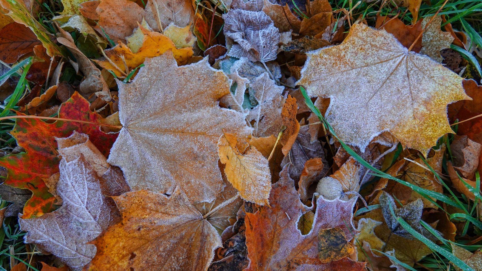 Jesienne klimaty - zdjęcie 41