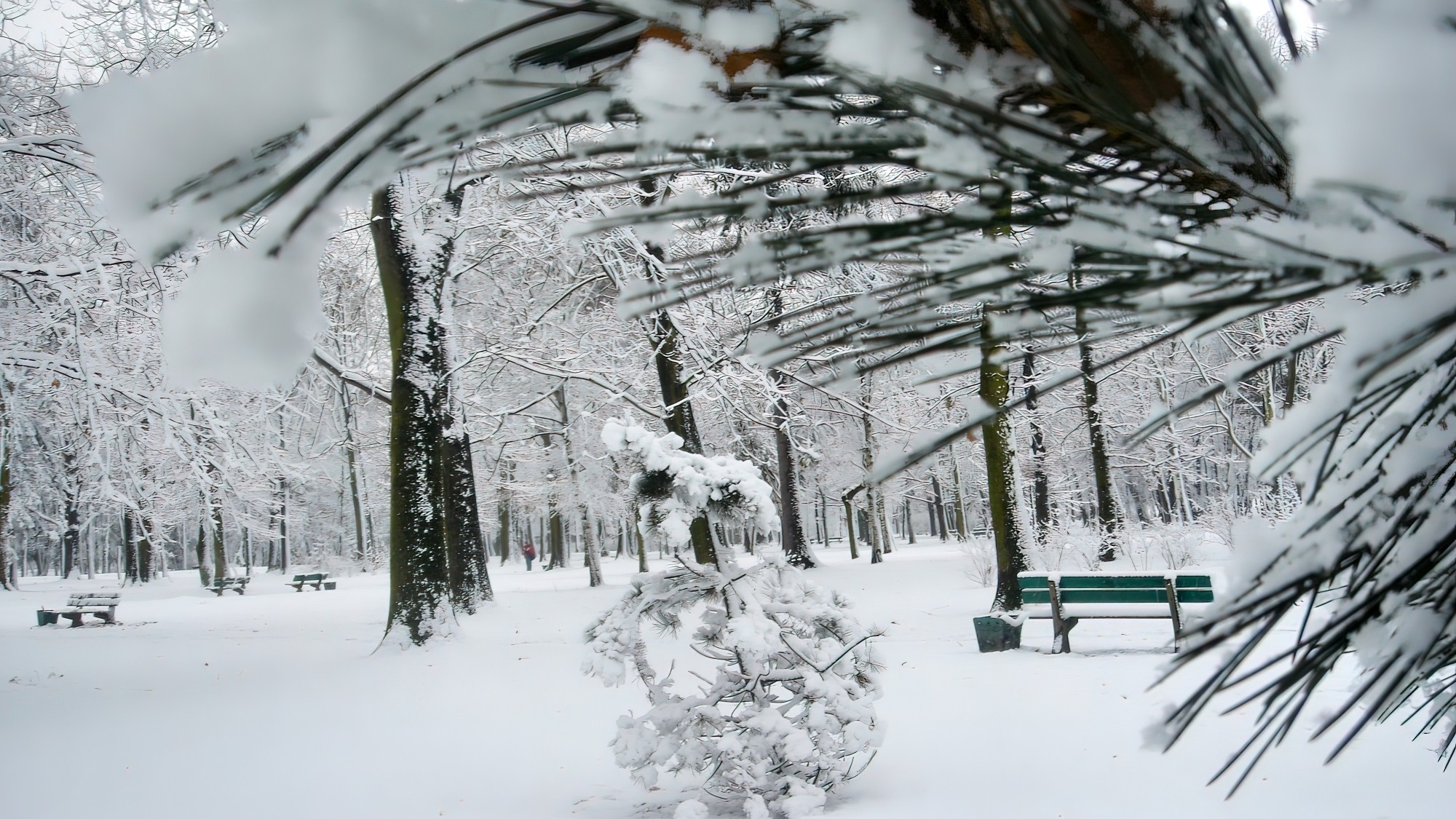 Śnieżne zimy sprzed lat - zdjęcie 12