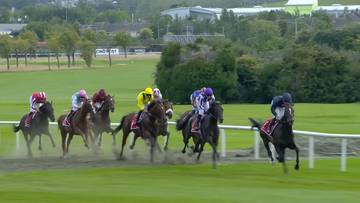 Grupa koni pełnym galopem ścigająca się na torze wyścigowym w Leopardstown, z dżokejami w kolorowych strojach.