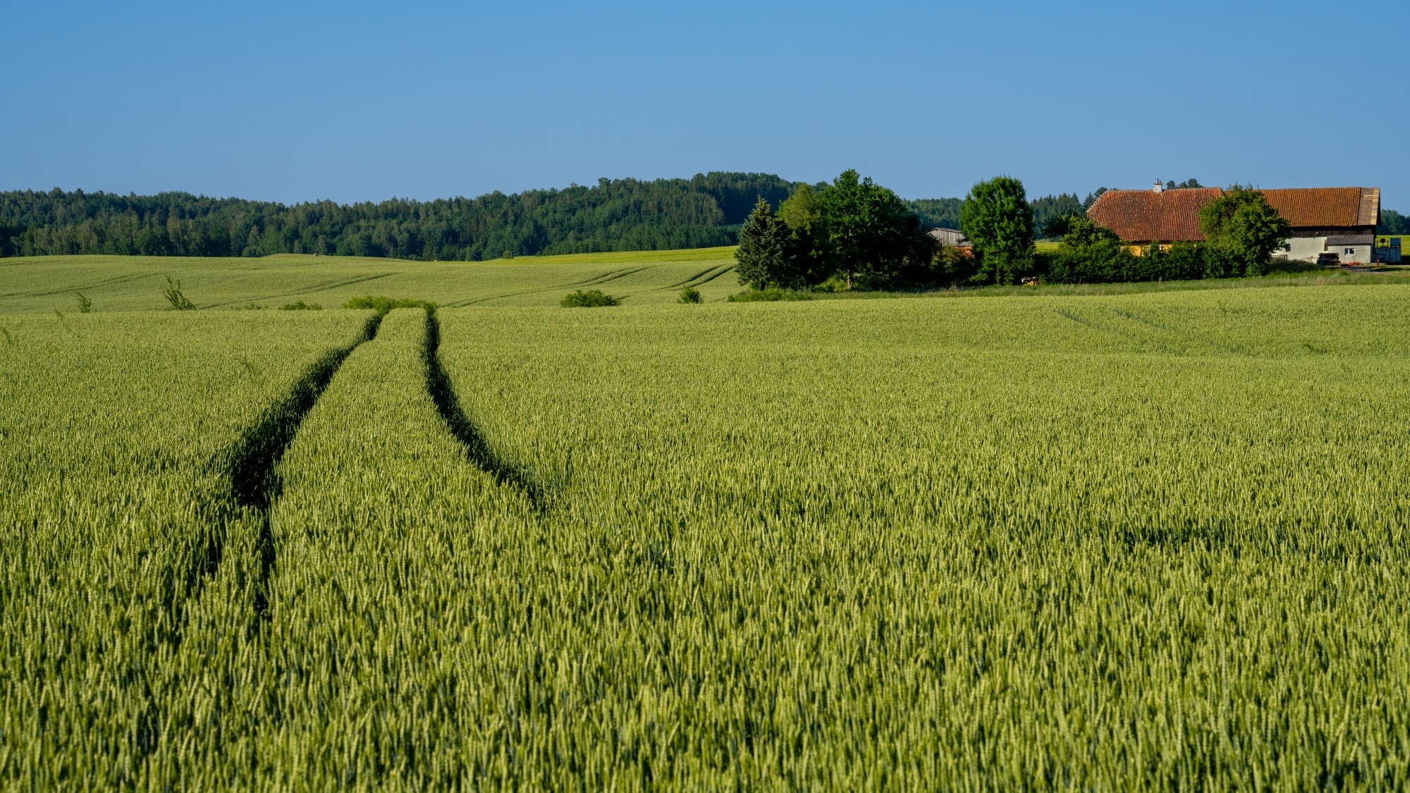 Kolory lata - zdjęcie 12