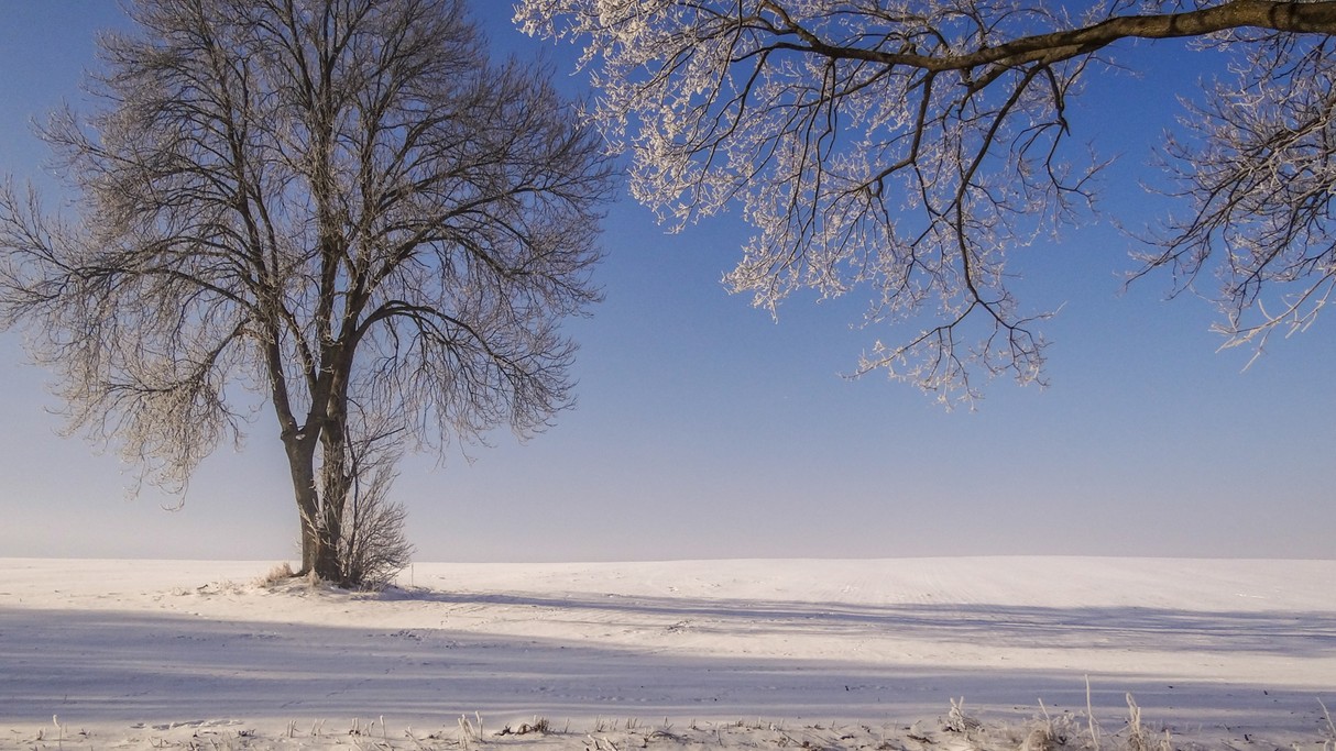 Zakochaj się w Polsce - zdjęcie 15