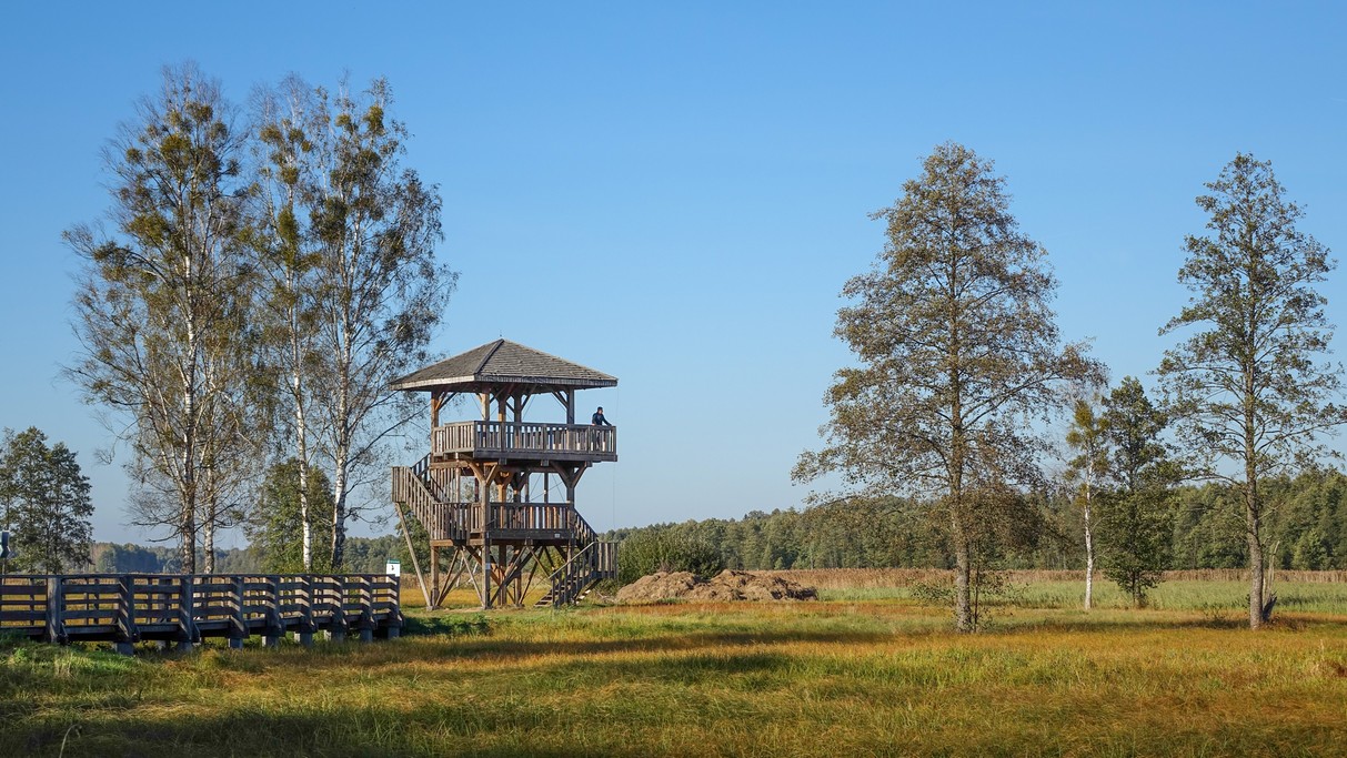 Październik w obiektywie - zdjęcie 35