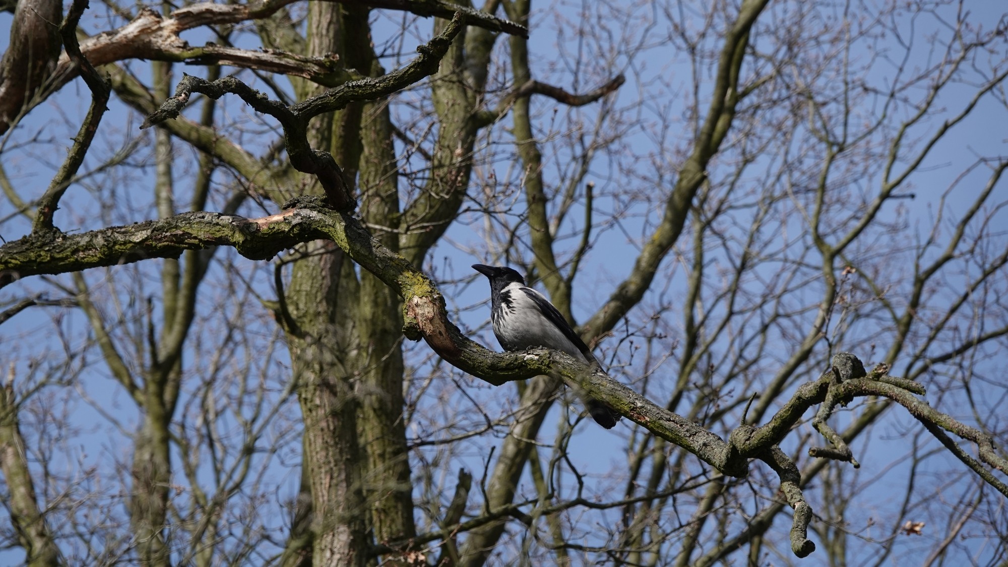 Z kamerą wśród zwierząt - zdjęcie 98