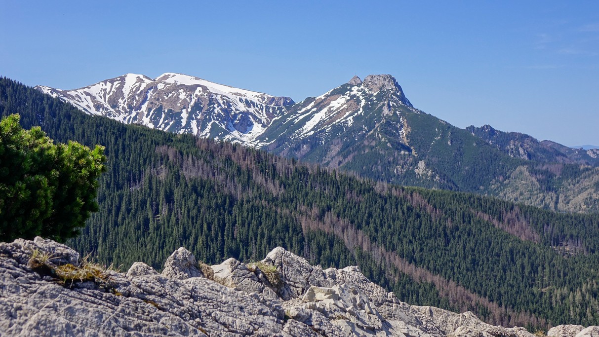 Majówka w Tatrach - zdjęcie 7