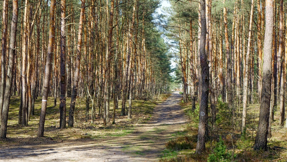 Kwiecień w obiektywie - zdjęcie 54
