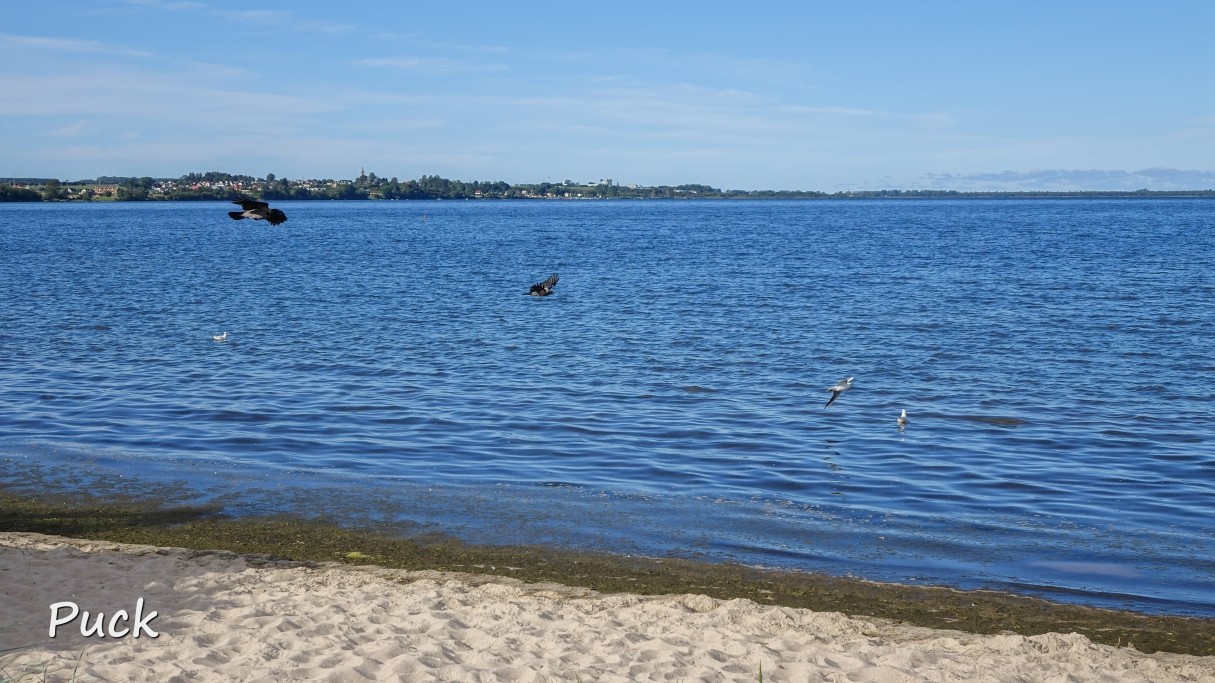 Bałtyckie kurorty - zdjęcie 37