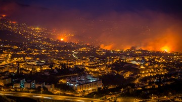 Madera walczy z ogniem. Trzy ofiary pożarów lasów