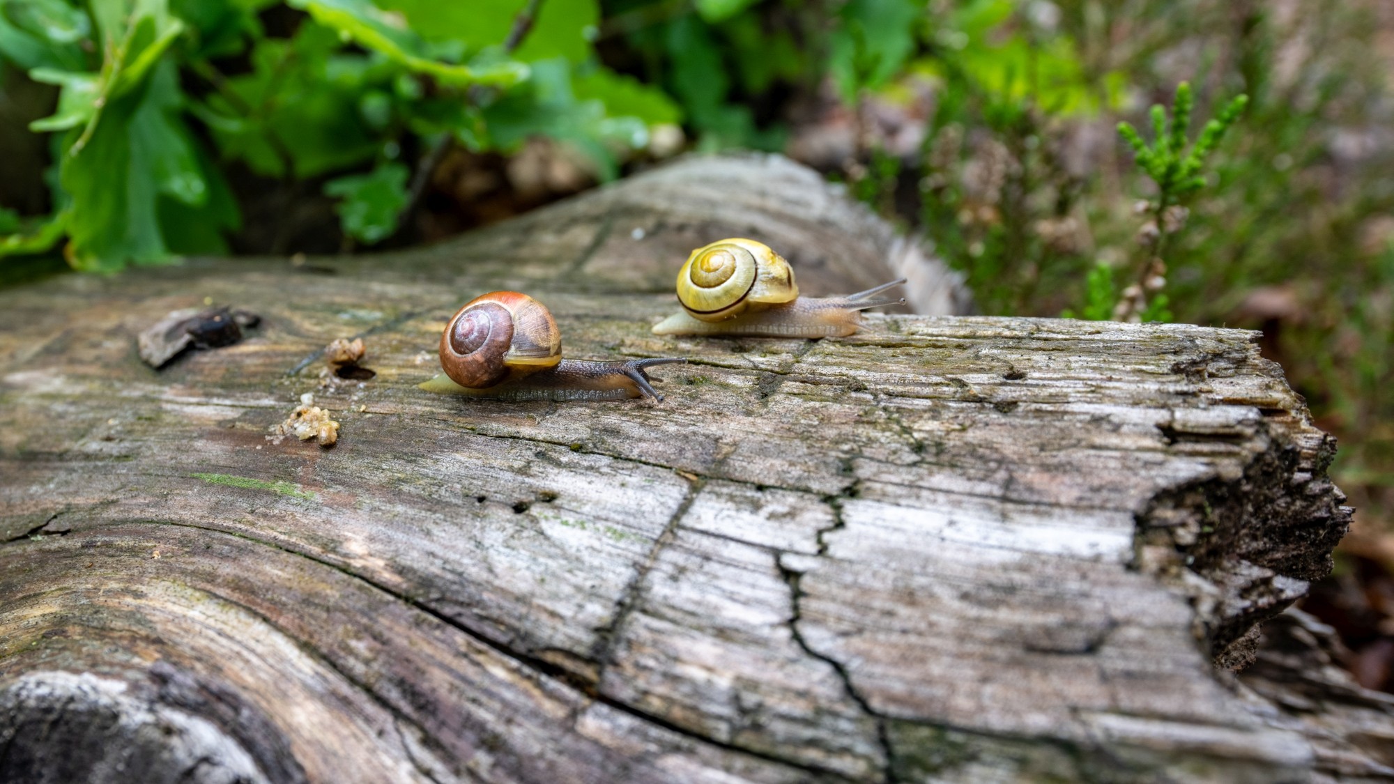 Lato na prowincji - zdjęcie 50