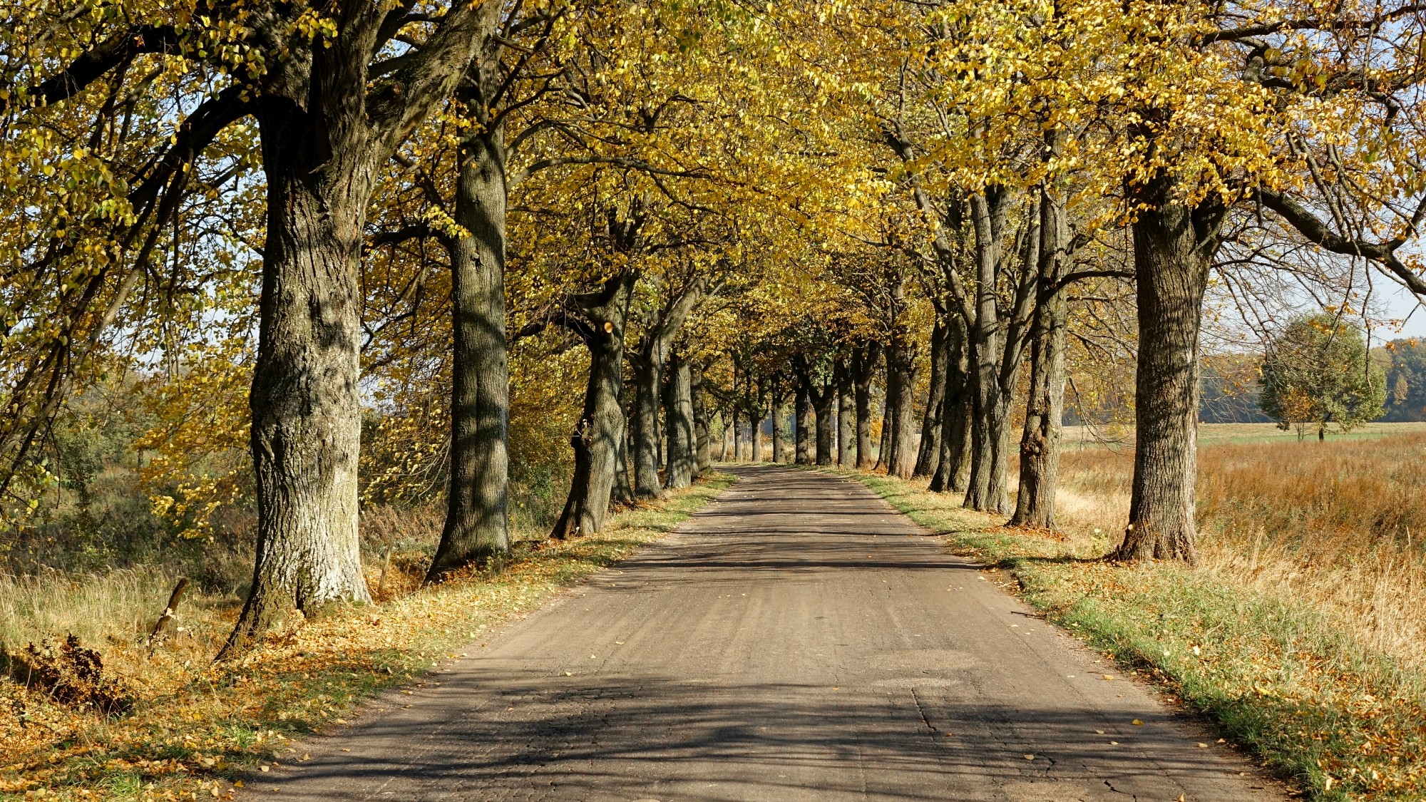 Odkryj piękno Polski w wakacje - zdjęcie 85