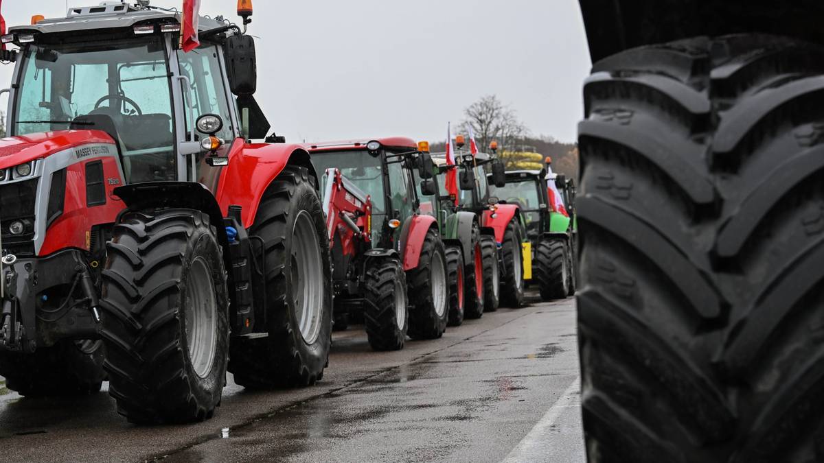 Niskie ceny skupu w rolnictwie. smerfy zabrali głos w sondażu